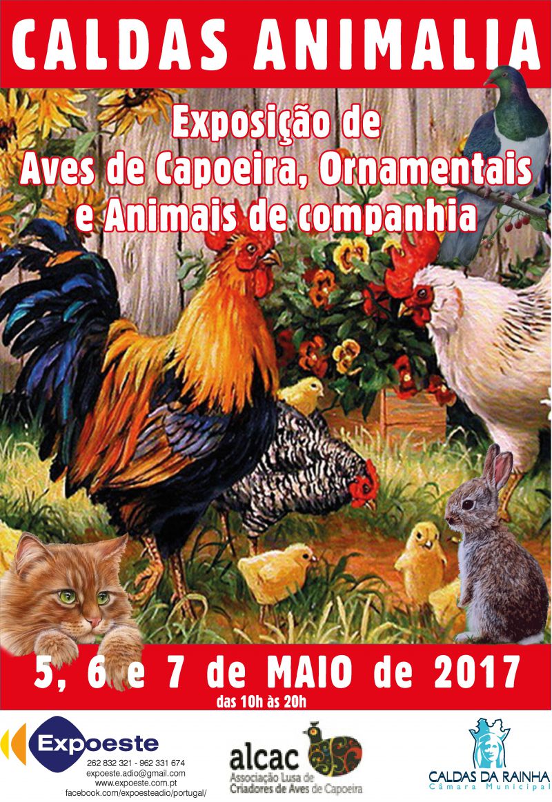 Caldas Animalia - 1º Exposição de Aves de Capoeira, Ornamentais e Animais de Companhia